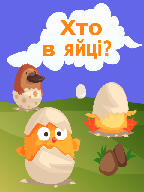 Обкладинка книги