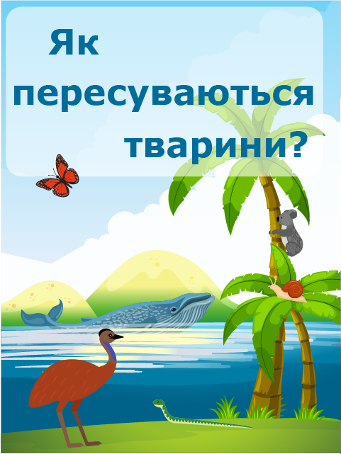 Обкладинка книги
