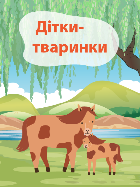 Обкладинка книги